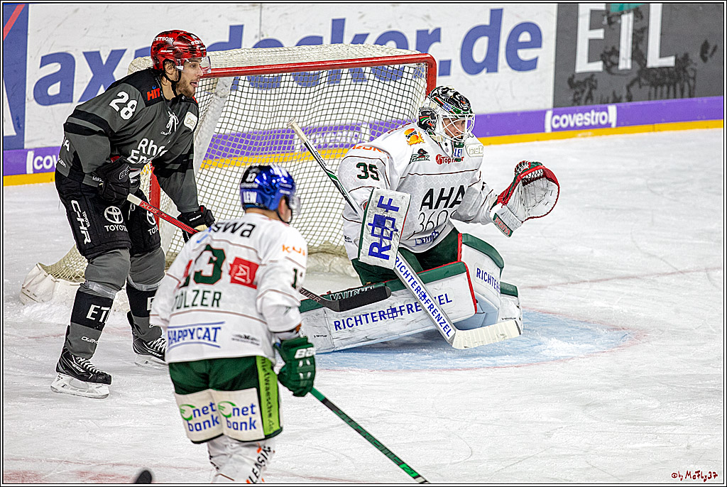 DEL; Koelner Haie - Augsburger Panther, 14.11.2018
